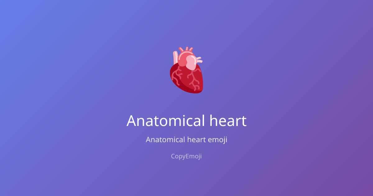 🫀 Anatomical heart Emoji - Meaning, Usage & Copy | CopyEmoji