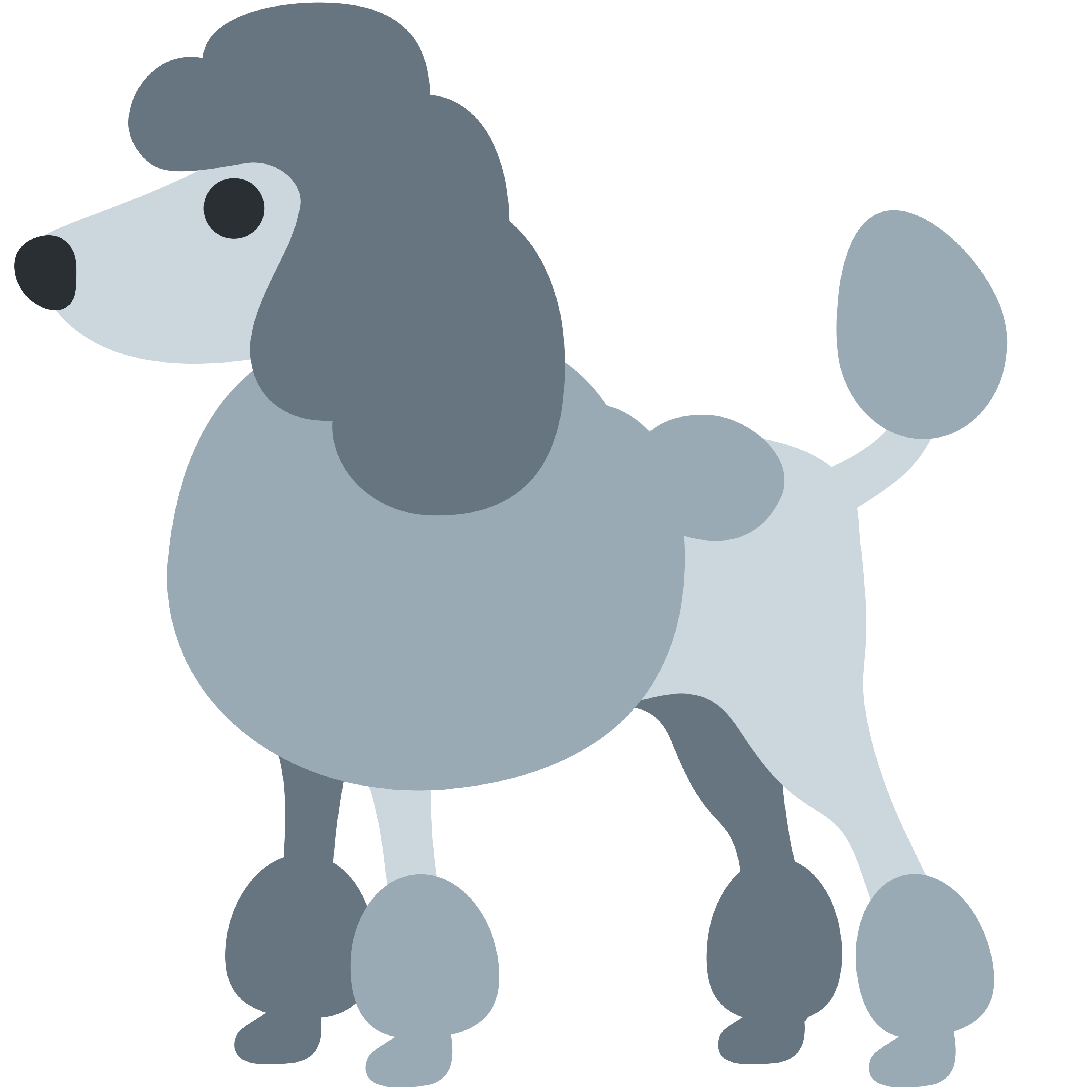 Poodle emoji printed on golf balls