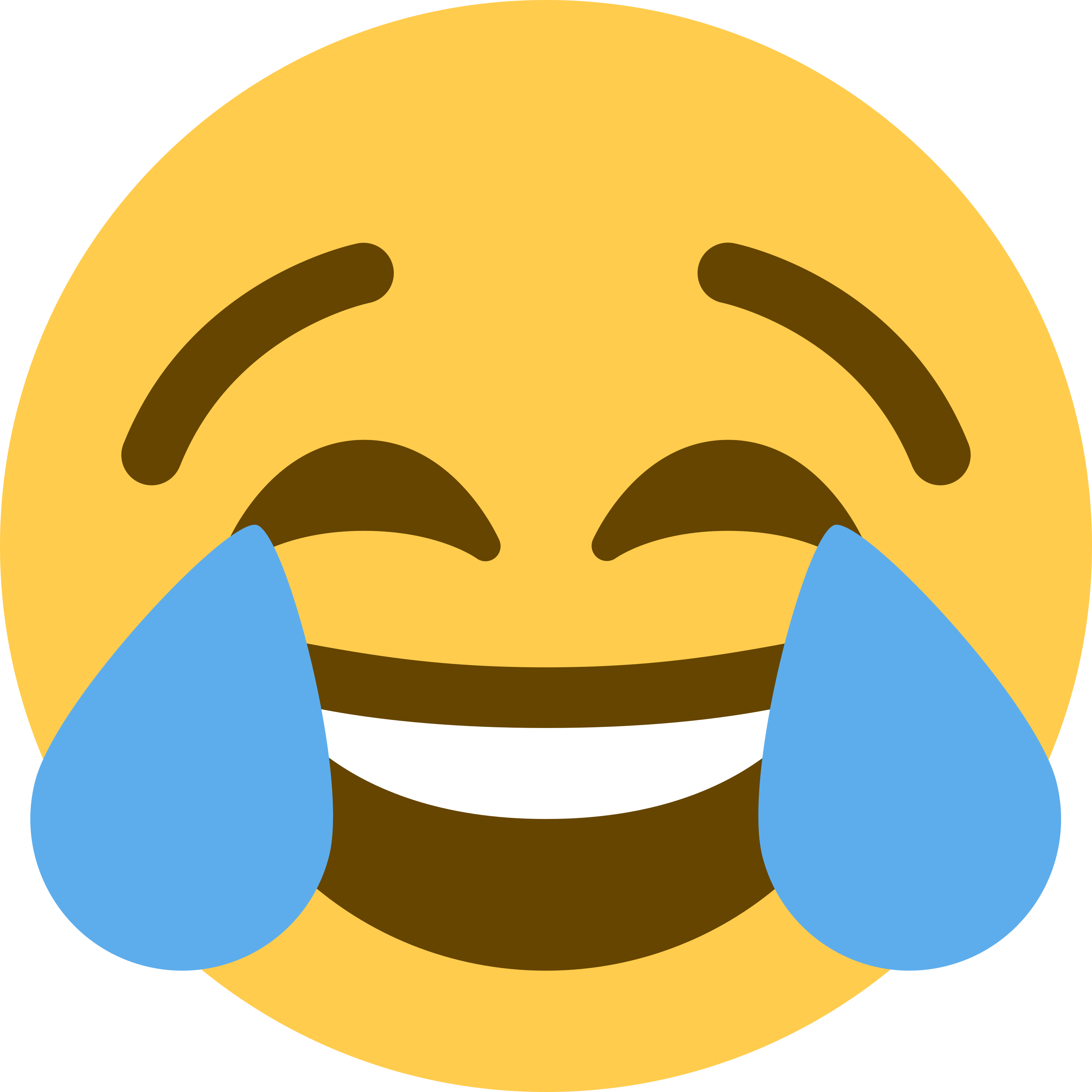 Face with tears of joy emoji printed on golf balls