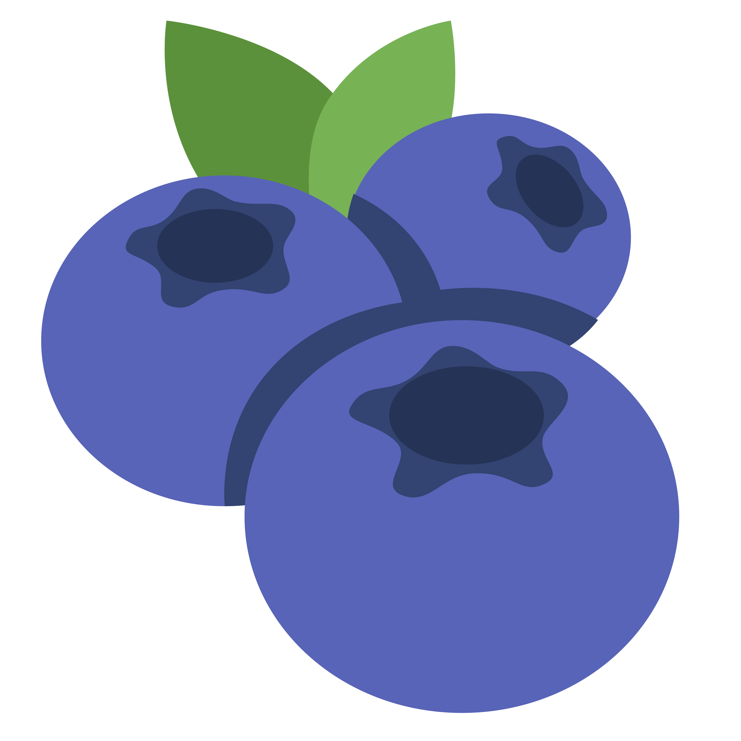 Blueberries ã®çµµæå ð« ãããªã³ããã TaylorMade TP5 ãŽã«ãããŒã«