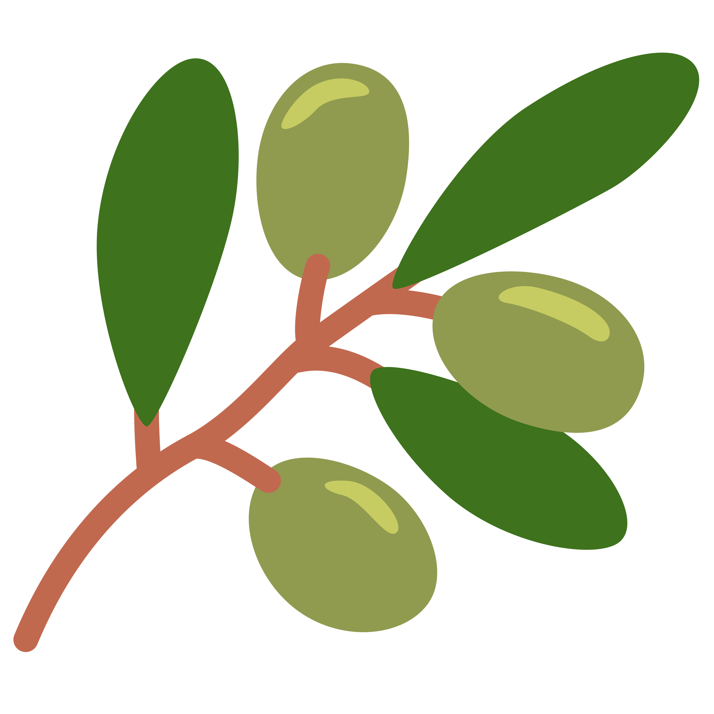 Olive ã®çµµæå ð« ãããªã³ããã TaylorMade TP5 ãŽã«ãããŒã«