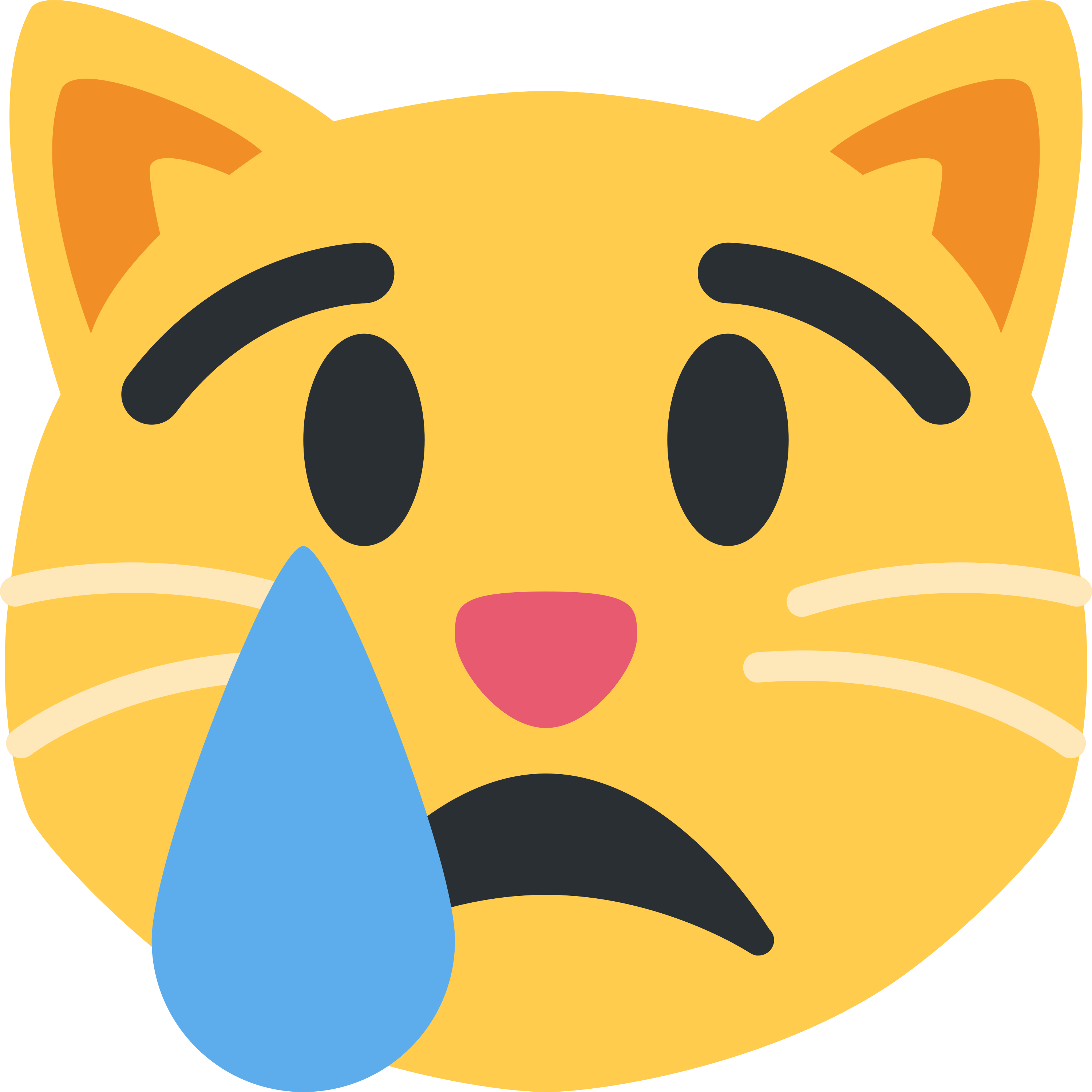 Crying cat emoji mug